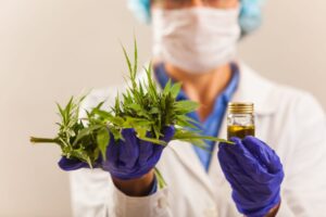 Will European Medical Cannabis Shift From Flowers To Oils?